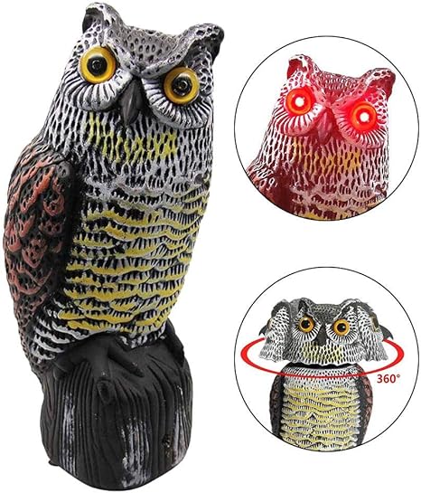 Amazon Co Jp 首振りフクロウ 本物そっくり フクロウ 置物 鳥よけ 害鳥対策 驚異な目玉で威嚇 風に揺れて360度動く 怖がらせる撃退ハト スズメ カラス ムクドリ ヒヨドリなど 鳩よけ ホーム キッチン