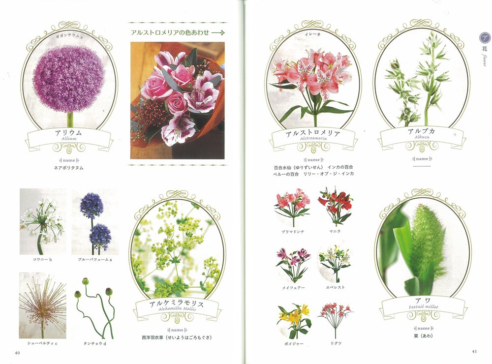 フローリスト花図鑑 いちばん探しやすい 宍戸 純 本 通販 Amazon