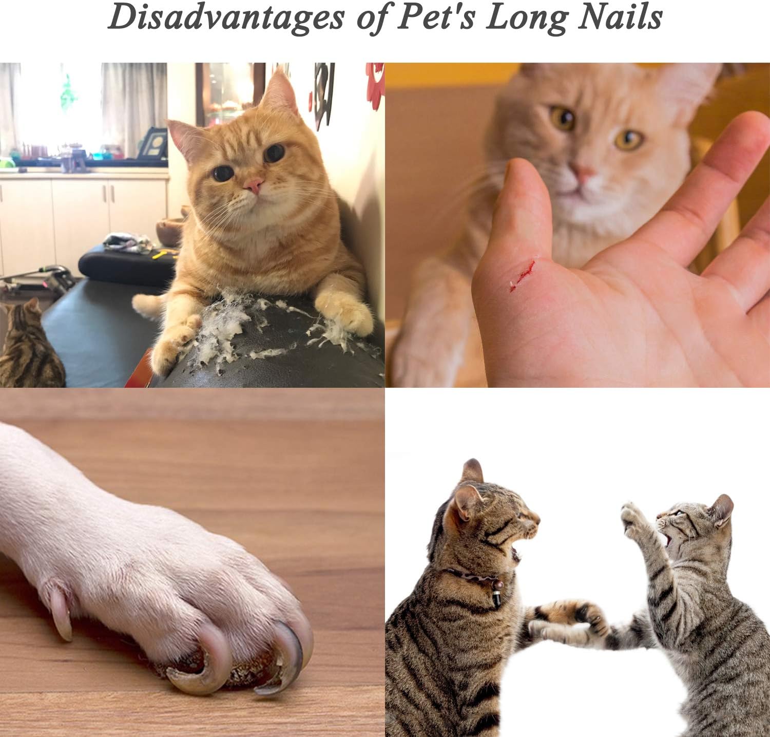 HABOM Dog & Cat Pets Nail Clippers and Trimmers - with Transparent Cover to Avoid Nail Flying, Free Nail File, Razor Sharp Blade - Professional Grooming Tool for Large and Small Animals