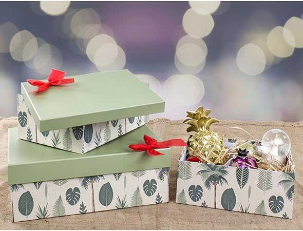 Euro Flora caja de regalo (hoja patrón) 40x30x15 Cm: Amazon.es: Bricolaje y herramientas