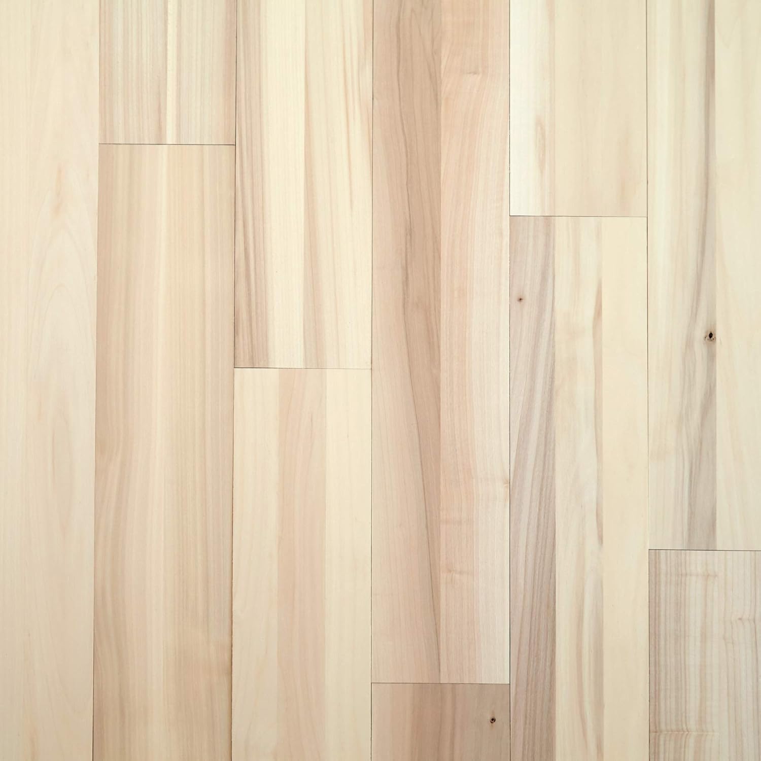 Amazon Com Timeline Wood Skinnies 00960 11 32 In X 5 5 In X