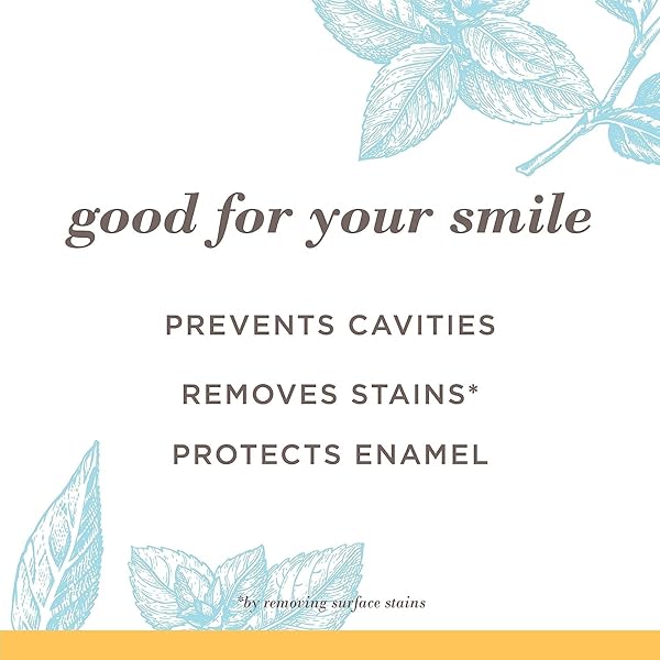 BURT’S BEES EXTRA WHITE TOOTHPASTE, FLUORIDE TOOTHPASTE, NATURAL FLAVOR, MOUNTAIN MINT, 4.7 OZ, PACK OF 3