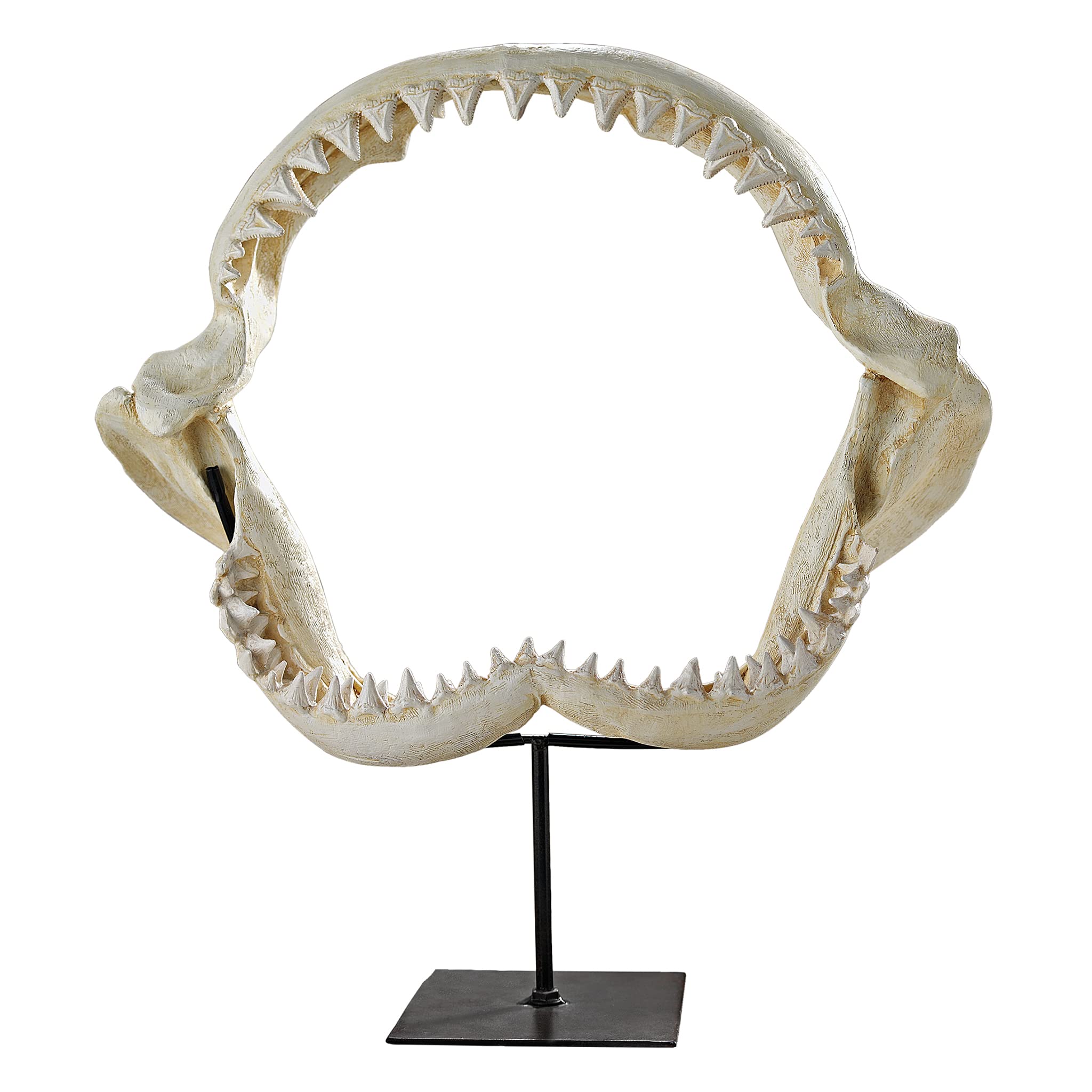 Design Toscano SD1130959 Shark Jaws Jagged Teeth Statue on Display Stand, Polyresin, Bone, 40.5 cm