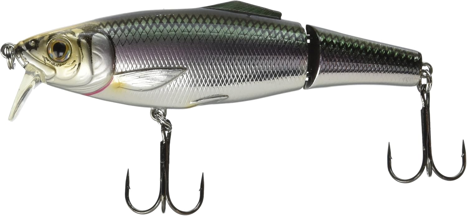 Blueback herring bait Clearance