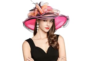 YIDINGCO 2025 Kentucky Derby Hat for Women Ladies, Organza Veil Feather Fascinator for Tea Party Church UV Protection Sun Hat
