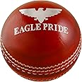 Leather Cricket Hard Balls for Club, Practice,Test Matches,one Day,T20 Matches Games Hand Stitched,Tanned Leather Polished,County Cricket Crown Match Cricket Balls Red, White (156g / 5.5oz)