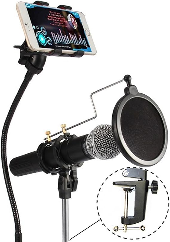 Best Mic Stand for Podcasting Audio Egghead