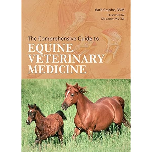 Amazon.com: Current Veterinary Therapy: Food Animal Practice