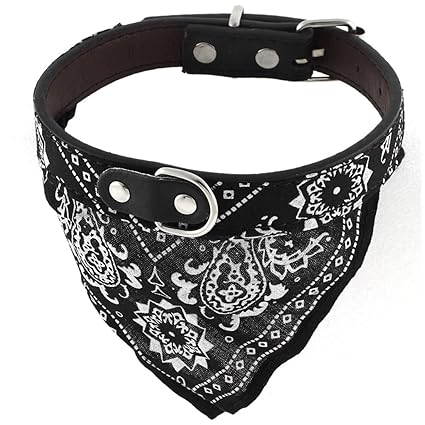 cat neck belt online