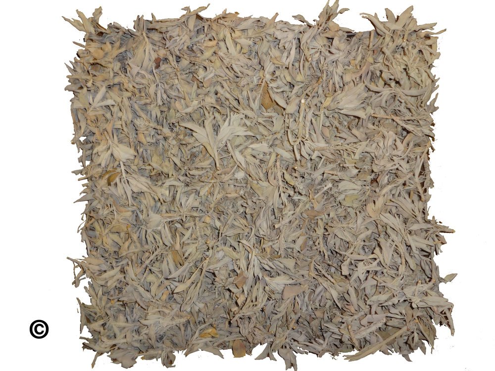 Weißer Salbei (Indianersalbei) 50g: Amazon.de: Beauty