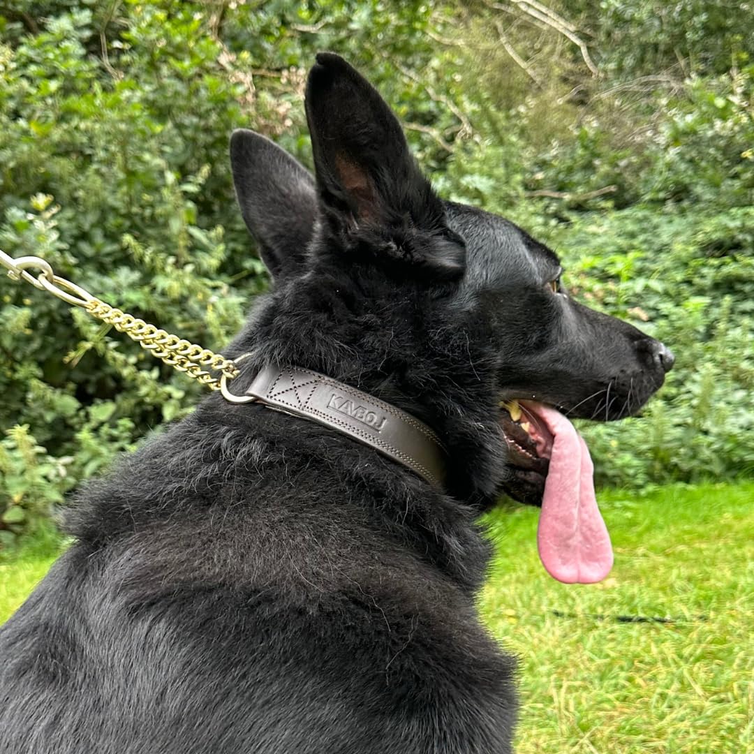 Kamboj9 k9 Handmade Leather martingale dog collar 100% brass hardware suitable for medium, large, extra large breed dogs training. includes Leather apple Airtag dog collar pocket. (Extra Large)