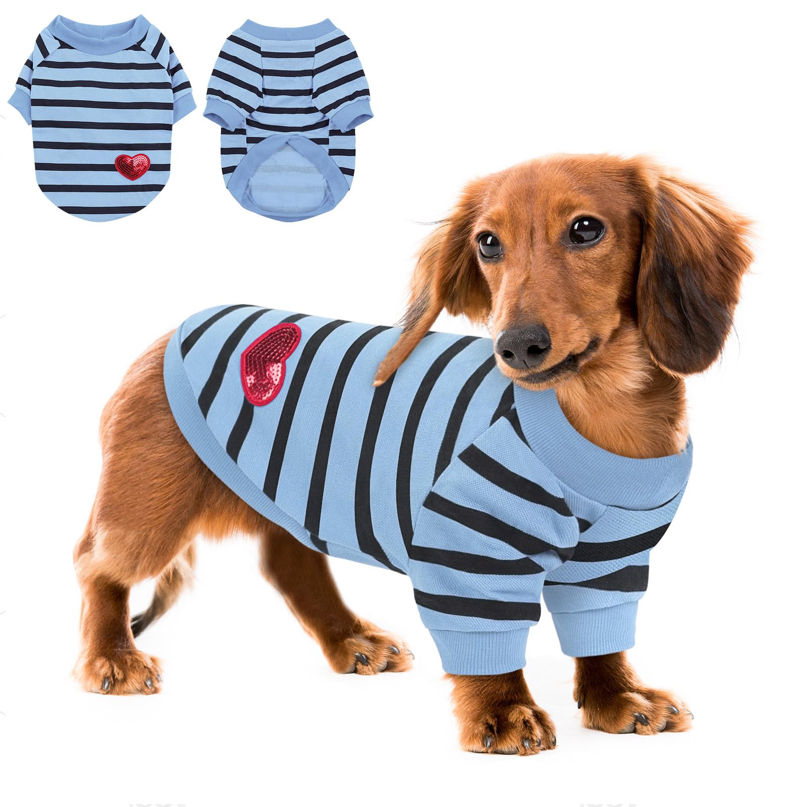 Photo 1 of Queenmore Medium Dog Shirt,Soft Breathable Dog Shirt for Dogs Cats Boy Girl,Pet Clothes for All Season,Breathable Lightweight Pet Tshirt for Frenchie, Dachshund, Yorkie