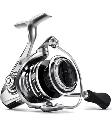 Amazon.com : Daiwa EXELT2500D-XH EXCELER LT Spinning Reel, 5BB + 1