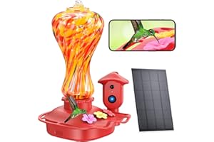 MISTFORE Smart Glass Hummingbird Feeder with Camera, Solar Powered 2K HD Hummingbird Feeders for Outdoors Hanging, AI Identifies & Auto Recording, Leak-Proof Ant & Bee Proof, Ideal Gift for Bird Lovers