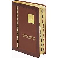 Reina Valera 1960 (Spanish Edition) book cover