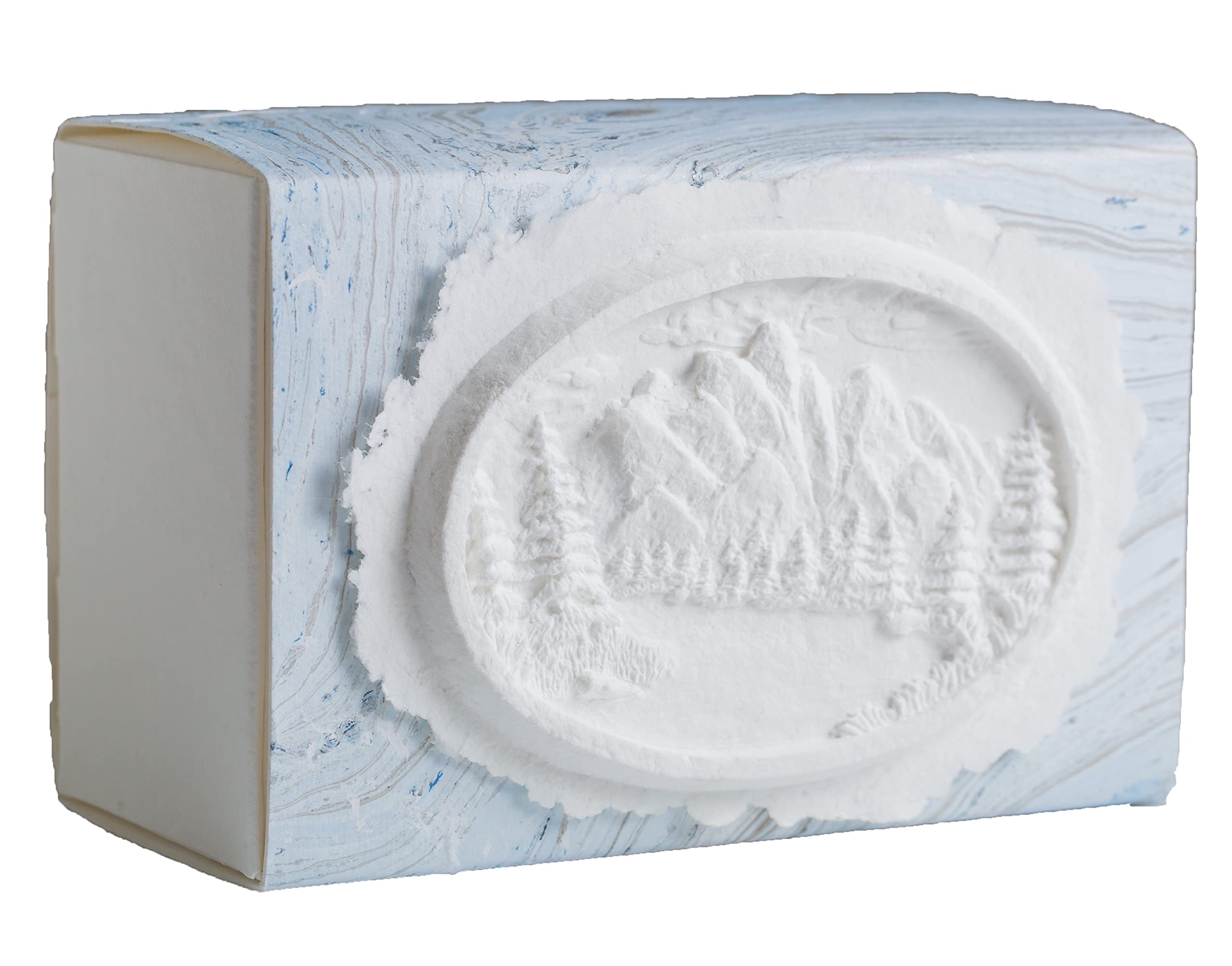 The Favorite Place® Burial Biodegradable Urn Box for Human Ashes by EARTH MEMORIALS Water Burial Urn (Mountains on Blue/Metallic Silver Paper, Large, 300 Cubic Inches 10”L x 6.5”W x 4 3/4”H)