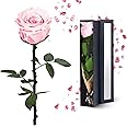 YAMPP Pink Preserved Flowers Gifts for Women: Eternal Rose Birthday Christmas Anniversary for Mom Girlfriend Wife Grandma