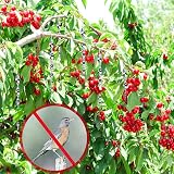 Yafe 8Pcs Reflective Bird Deterrents 30cm 7 Colors Wind Spinner view 5