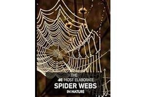 The 40 Most Elaborate Spider Webs In Nature: Discover the intricate world of arachnid artistry and marvel at the 40 most intricate spider webs woven ... Table Picture Book or Perfect Gift for all.