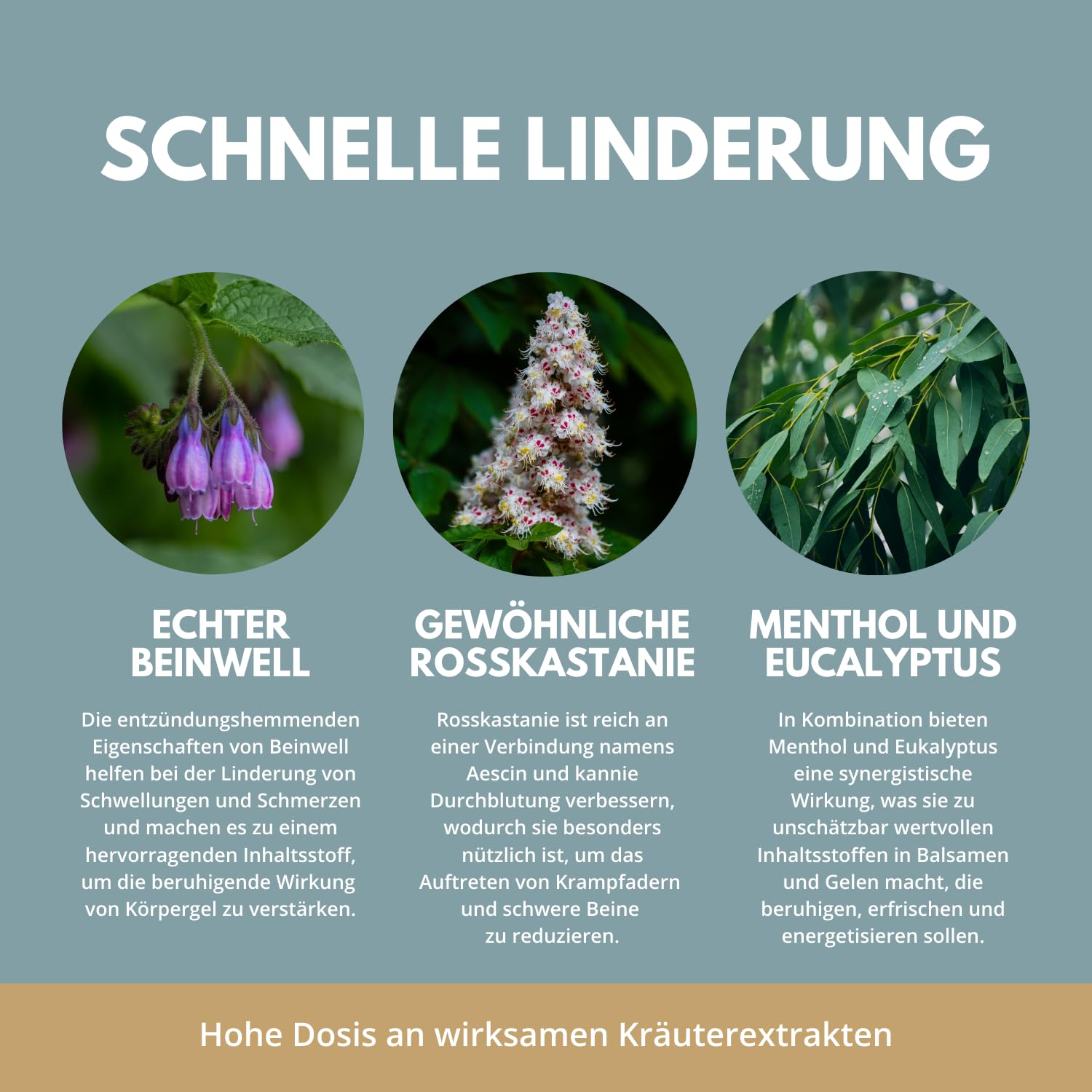 REFIT® Pferdebalsam Stark XXL 500 ml - Kühlende Pferdesalbe mit Kombination aus Torf & Kräutern (Rosskastanie usw.) - Salbe in Gel-Form Wirkt Gegen Muskelkater & Gelenke (Rücken, Nacken, Füße, Knie) 4
