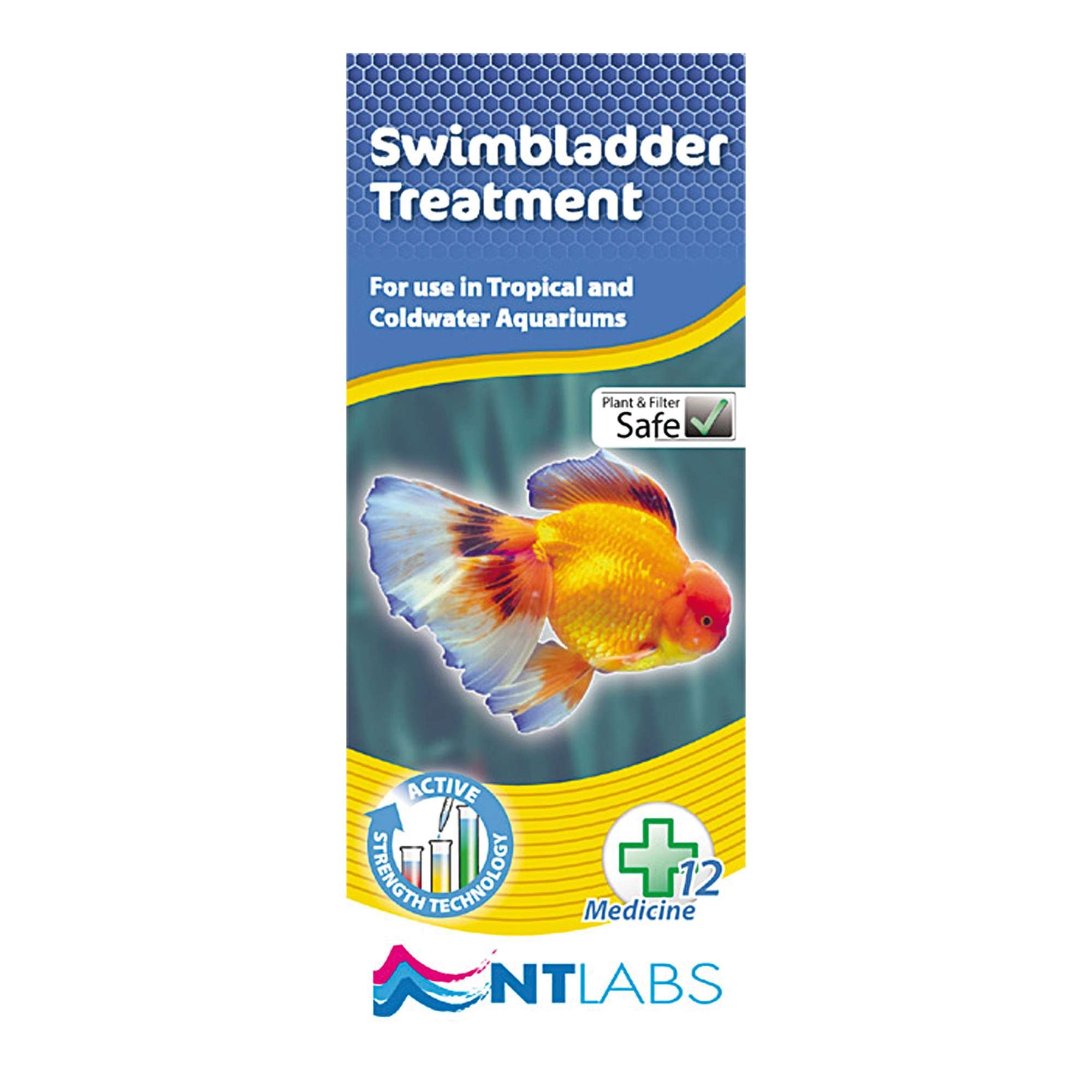 Nt Labs Swimbladder Treatment 100ml Buy Online In Burundi At Burundi Desertcart Com Productid 158362219
