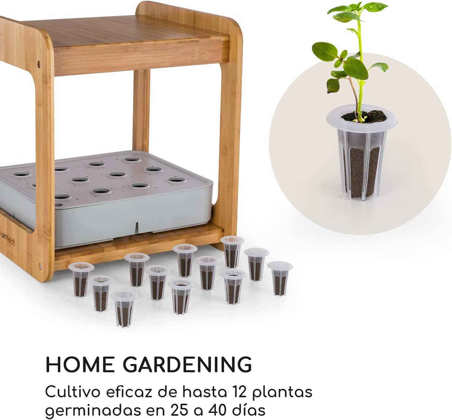 Blumfeldt Urban Bamboo Jardín hidropónico - Huerto, Sistema para ...