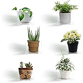 Yulejo 6 Pieces Acrylic Floating Shelves Set Acrylic Small Wall Shelf Wall Mounted Shelf Bathroom Drilling Organizer Adhesive Display Shelf for Bedroom Gaming Room Living Room Office