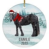 Santa Hat and Scarf Welcome Winter Black Fell Pony