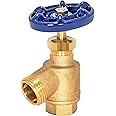Eastman Bent Nose Garden Hose Valve, 1/2 Inch FIP x 1/2 Inch MHT, Brass Plumbing Fitting, 20251