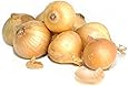 Yellow Onions (10 lbs.)