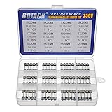 BOJACK 12 Values 60 pcs Slow Blow Glass Fuses