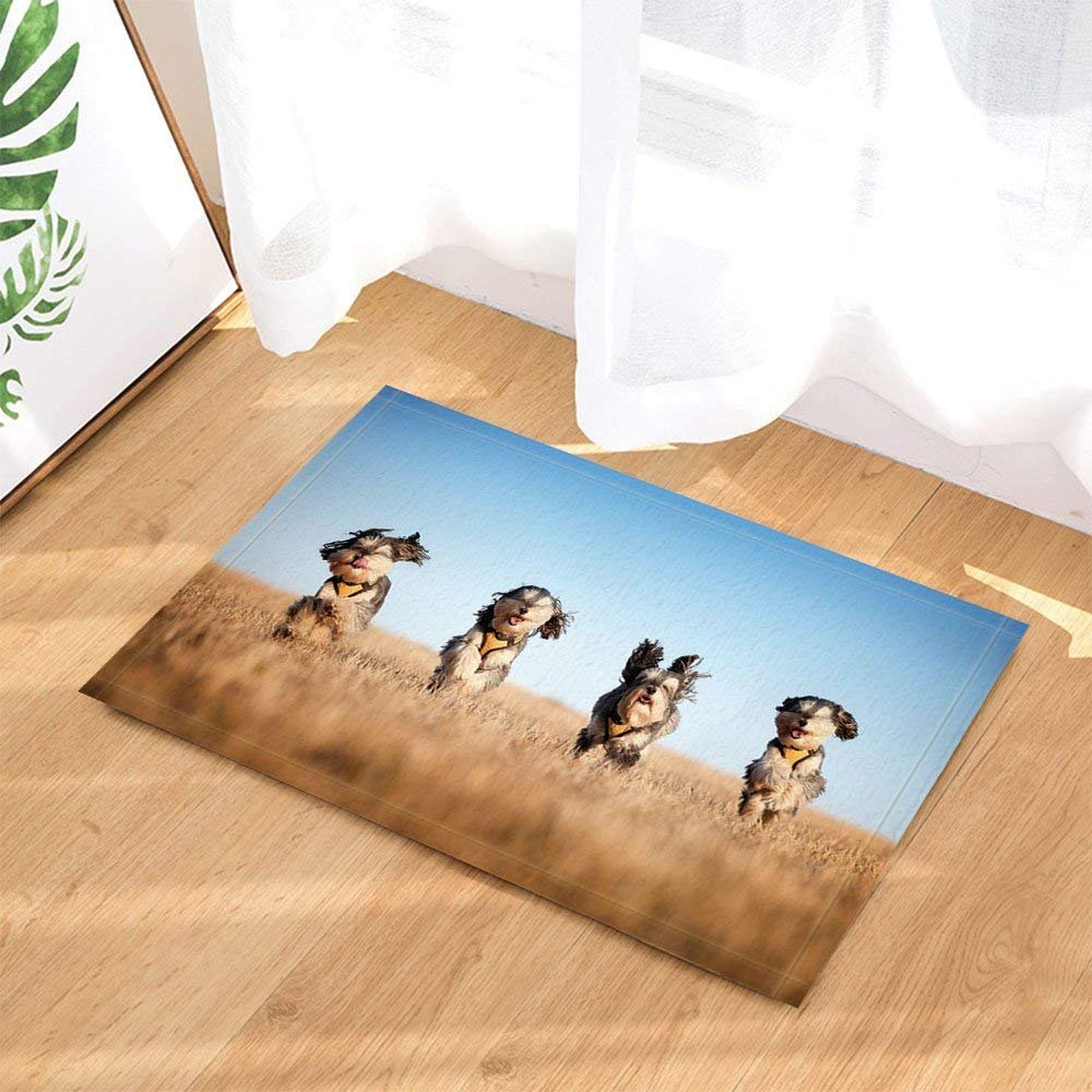 Amazon Com Yylzsq Animals Bath Rugs Funny Schnauzer Dog