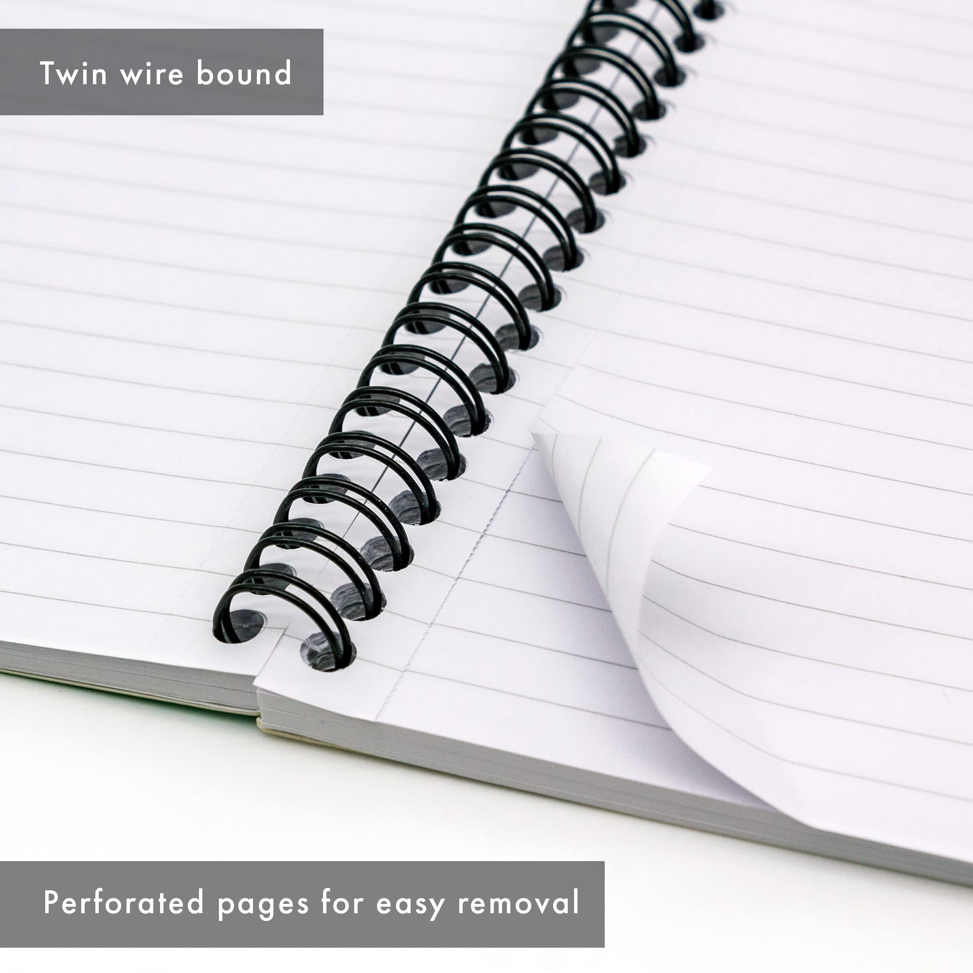 Pukka Pad, A5 Metallic Jotta notizbuch 3er-Pack für Zuhause, Schule und Büro – 15 x 21 cm – spiralbindung Notizbuch mit 8 mm Liniert und 80 g/m² Papier – mit perforierten Kanten – 200 Seiten, grün 7