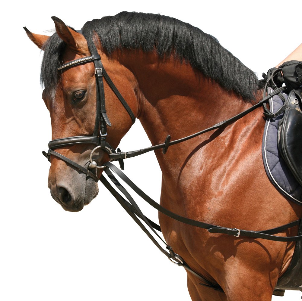 PFIFF Sliding Side Reins Pony, Black Amazon.co.uk Sports & Outdoors