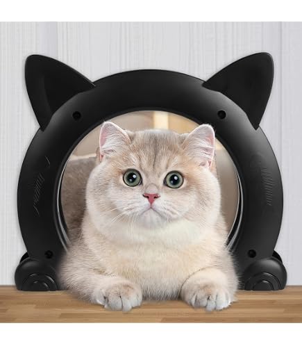Amazon.com : The Kitty Pass Cat Door for Interior Door - Cat Hole