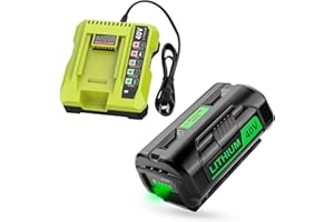 Energup 6A OP4040 40V Replacement for Ryobi 40V Battery, Compatible with Ryobi 40 Volt Battery Lithium OP4026A OP40201 OP4050A OP4015 OP40261 OP4030 OP40401 Batttery, with OP401 Ryobi 40V Charger