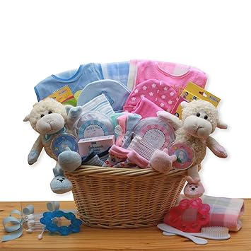amazon baby gift basket