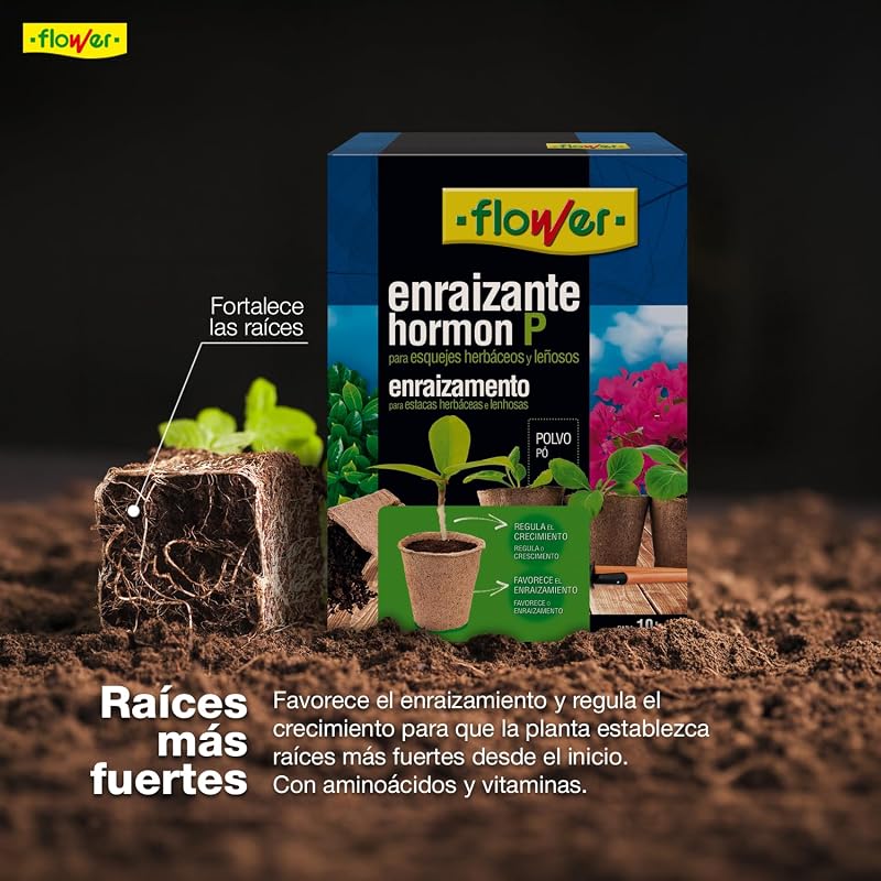 - Enraizante Sólido Hormon P 50 g | Polvo Enraizante para Esquejes y Trasplantes | Con Aminoácidos y Vitaminas | Estimula Raíces | Ornamentales, Árboles y Frutales