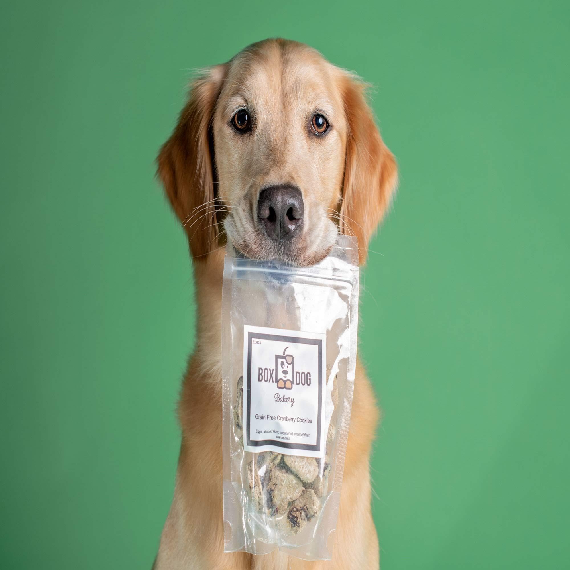 dog training subscription box