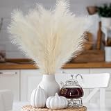 Woltoy Pampas Grass 5 Pcs Dried Look Artificial Stems 96cm Beige Boho view 5