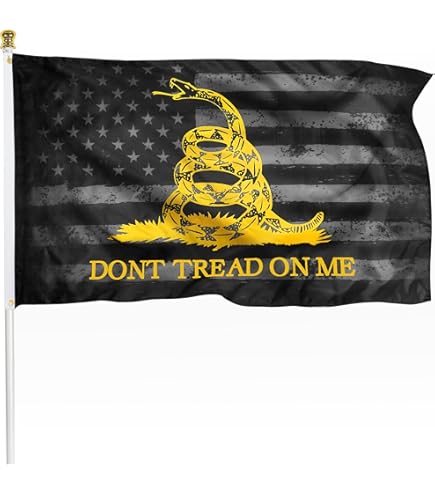2 Gadsden Autoflaggen „Don't Tread On Me“ – 43,2 X 27,9 Cm, Doppelseitig, Mit Mast – Für Auto & Events