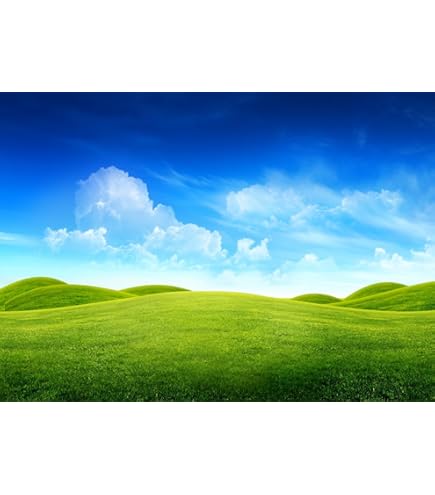 Enchanted Forest Backdrop 5x3ft - Galaxy Starry Sky With Green Meadow Photo Background