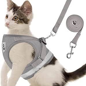 cat carrier harness