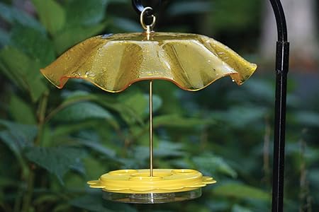 Amazon Com Birds Choice Yellow Weather Guard Wild Bird Dome
