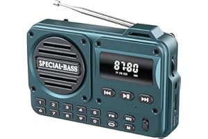 T.TAOMI Pocket Radio FM USB-C Charging 2000mAh Rechargeable Excellent Reception Clear Speaker and Headphone Jack,LCD Screen,FM Radio for Walk/Jogging/Gym, Bluetooth/TF(NO AM) (Turquoise)