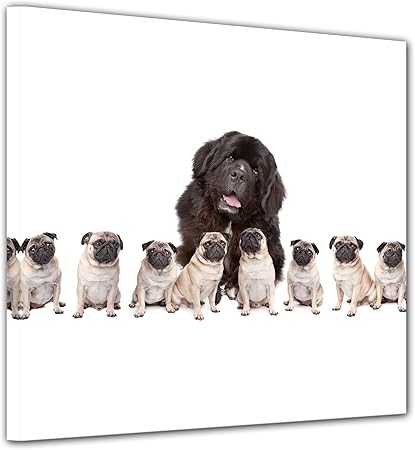 Bilderdepot24 Impression Dart Gros Chien Avec Des Petits