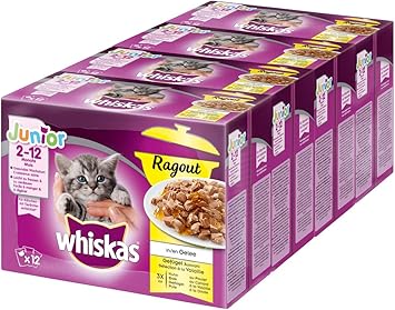 Whiskas Junior Ragout Geflugel Auswahl In Gelee Fur Katzen Von 2 12 Monaten 4 X 12 Portionsbeutel A 85g Amazon De Haustier