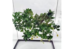FLMOVING Reptile Plants for Terrarium, Amphibian Habitat Decor Artificial Hanging Plants with Suction Cup, Artificial Plants for Gecko Chameleon Snake Tortoise Tank Accessories. 2 Pack (FL-G)