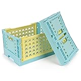 HOYA PONYOO 2-Pack Pastel Plastic Storage