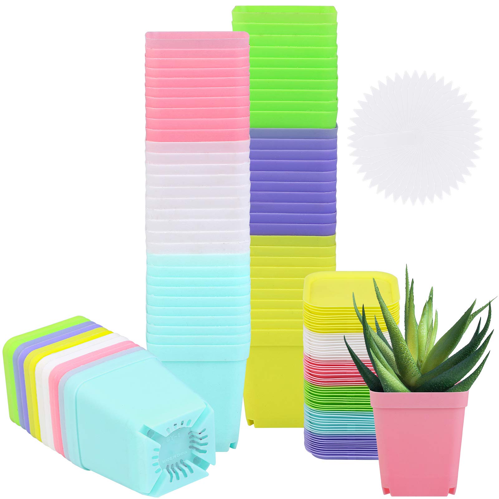 ELCOHO 60 Pack 2.7 Inch Square Plants Nursery Pot Multicolor Plastic Plant Seedling Pots Flower Pots Nursery Transplanting Planter Container with Saucer for Your Room,Garden Office and Balcony Decor